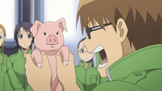 Illustration for article titled Silver Spoon: The Ani-TAY Review